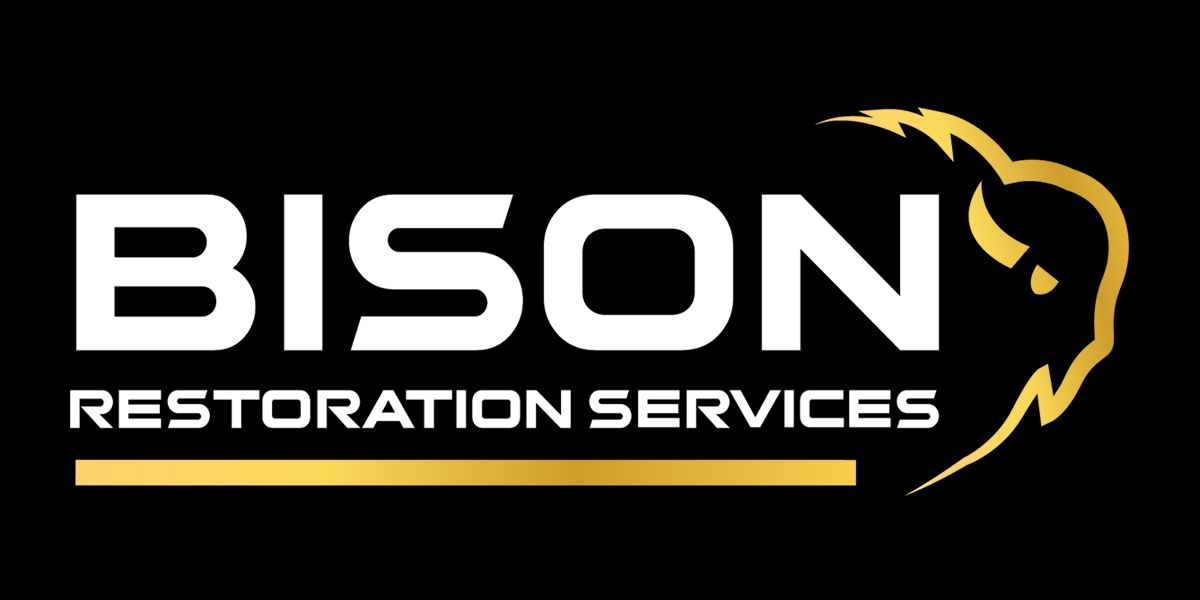 BISON Restoration Services photo