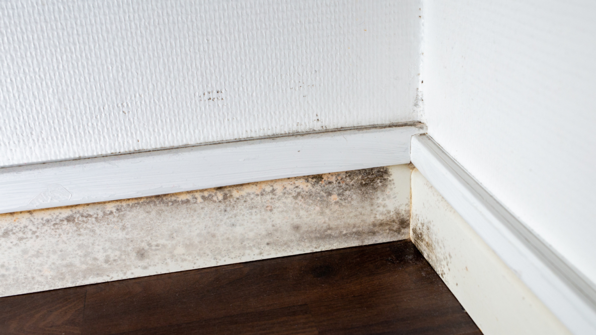 ADC Blog Photo 1 1