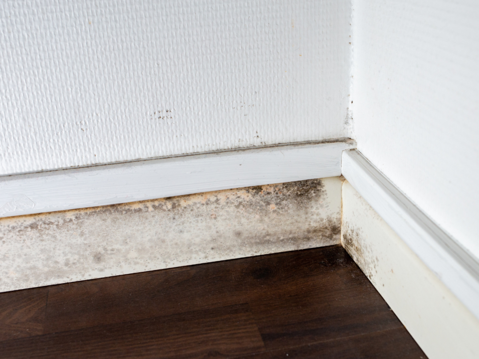ADC Blog Photo 1 1