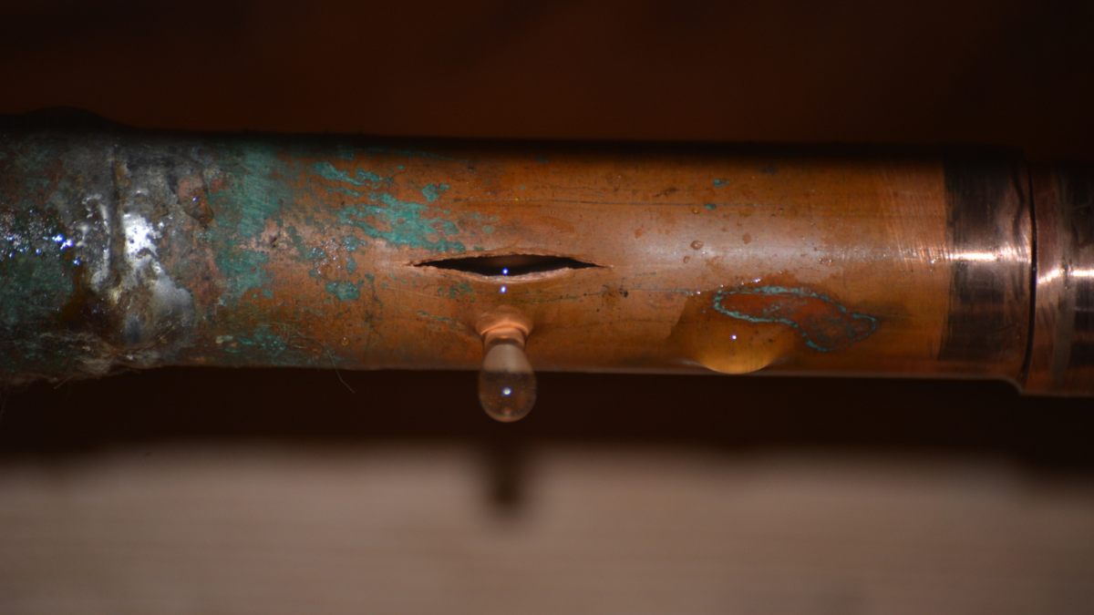 ADC Blog Photo 2
