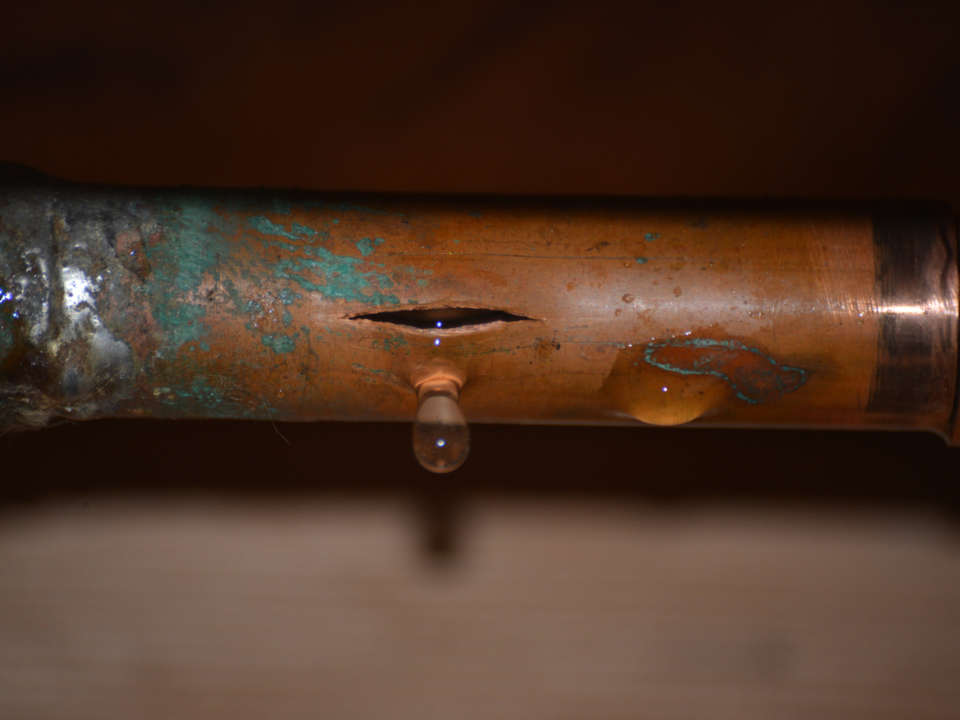 ADC Blog Photo 2